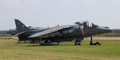 Harrier