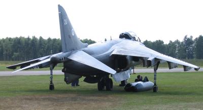 Harrier