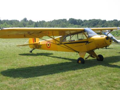 Piper Pa18-95 Super Cub