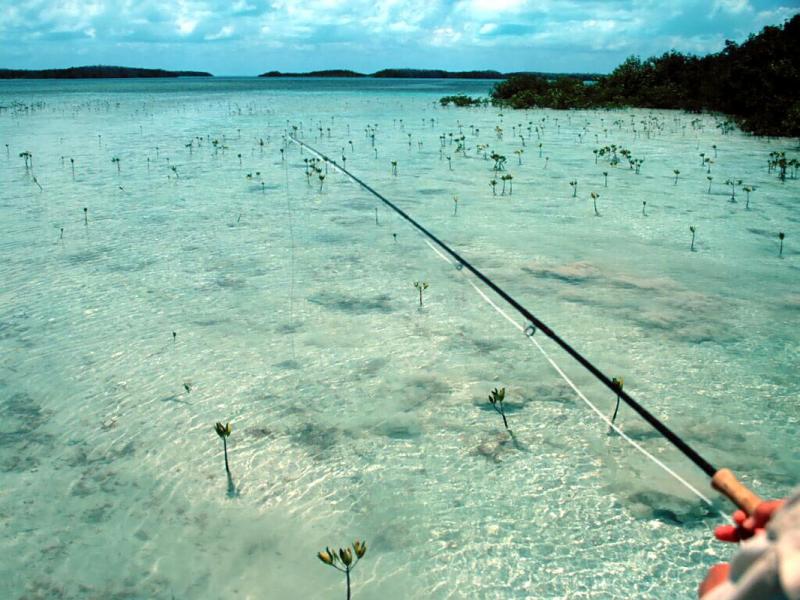 San Pedro, Belize
