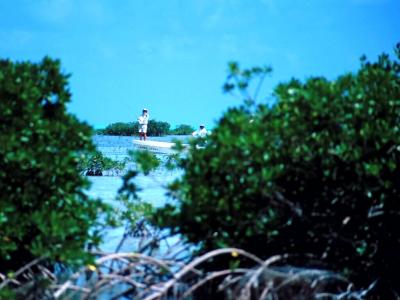 San Pedro, Belize