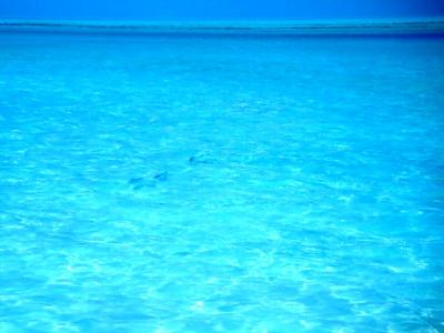 San Pedro, Belize
