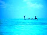 San Pedro, Belize