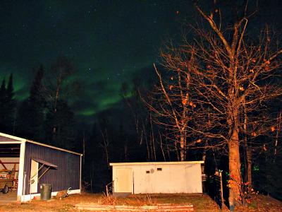 227_2742_RT16.jpg