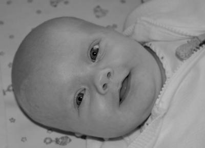 CRW_0150b.jpg