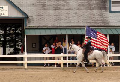 horse146.jpg