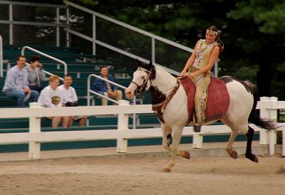 horse152.jpg