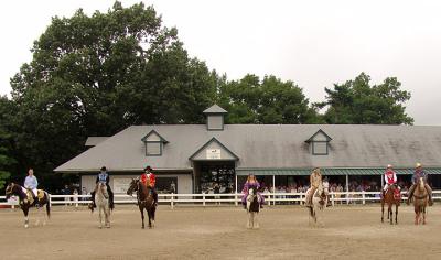 horses199.jpg