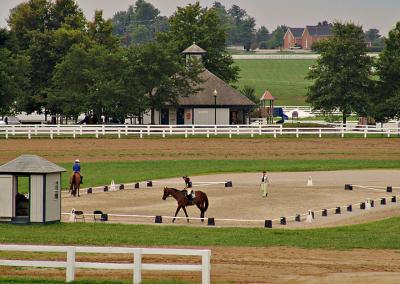 horsepark8.jpg