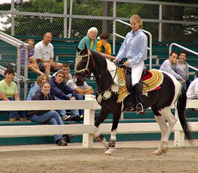 horse178.jpg