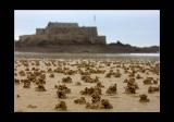 Sand Architecture