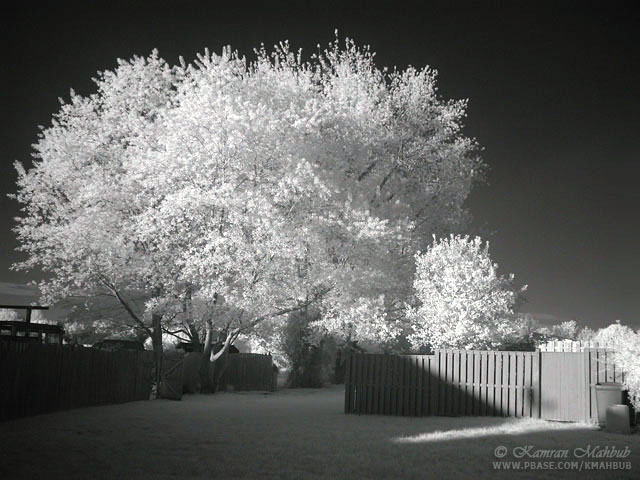 DSCN0992 s.jpg