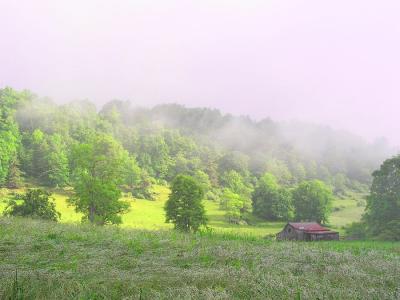 Misty Morning