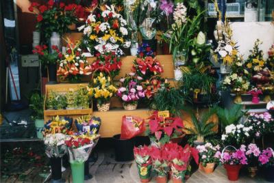 u36/laras/medium/23466195.LaRamblaGarden.jpg