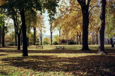 FALL SCENE IN MONTREAL