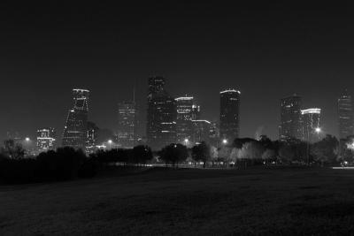 Houston Skyline 8683