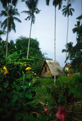 nMAL509_Tioman.jpg