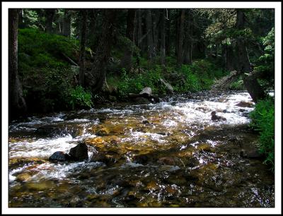 Rapids