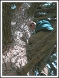 Casey Climbing