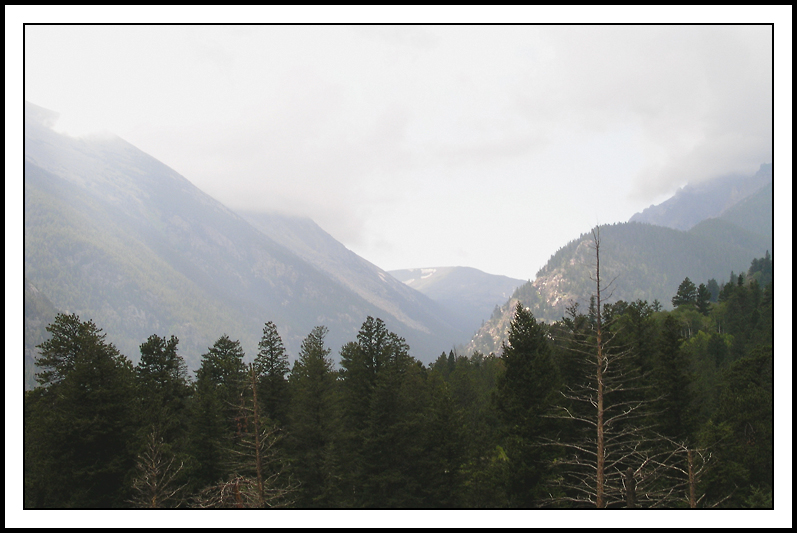 Foggy Mountain