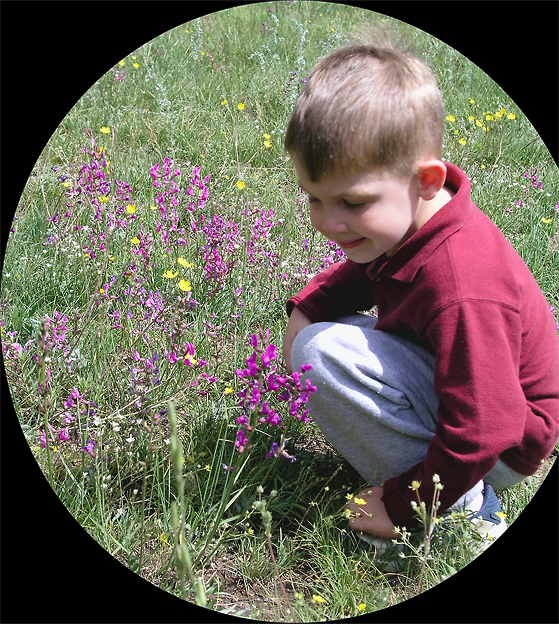 Vlad and the Flowers