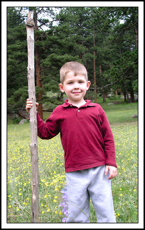 Vlad with a Stick