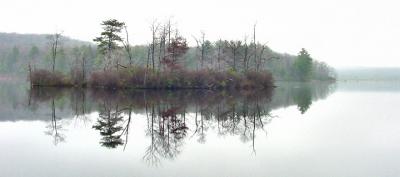 pond isle