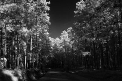 Prescott , AZ - IR BW