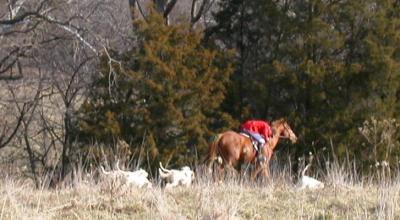 DSCN5118.JPG