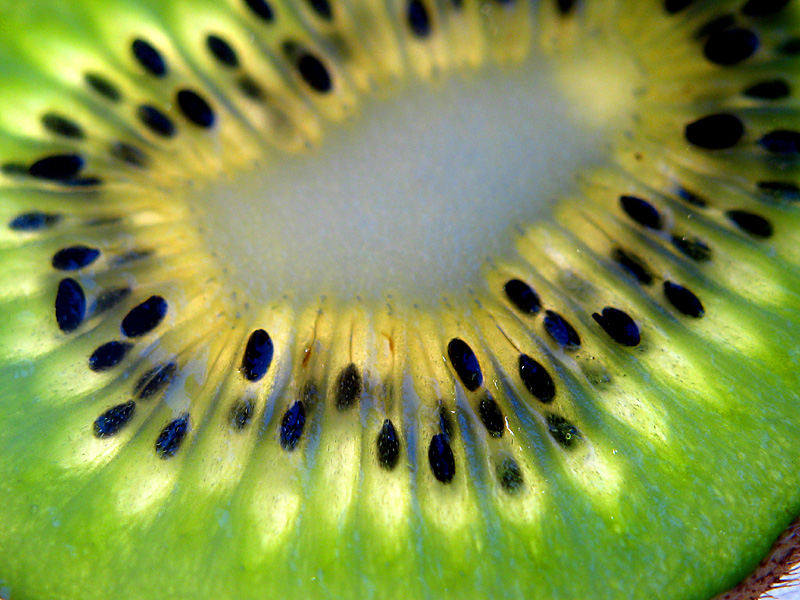kiwi