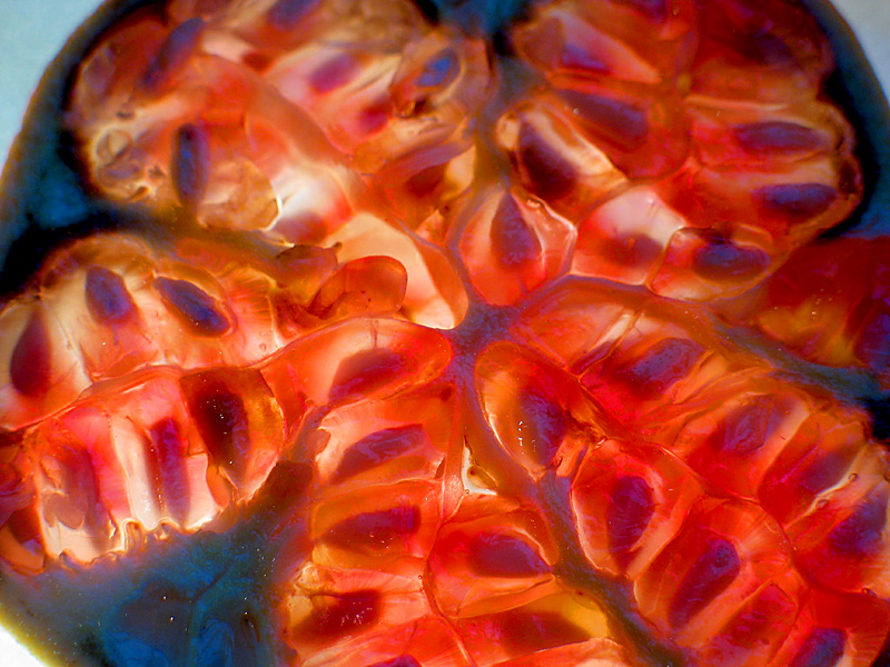 pomegranate