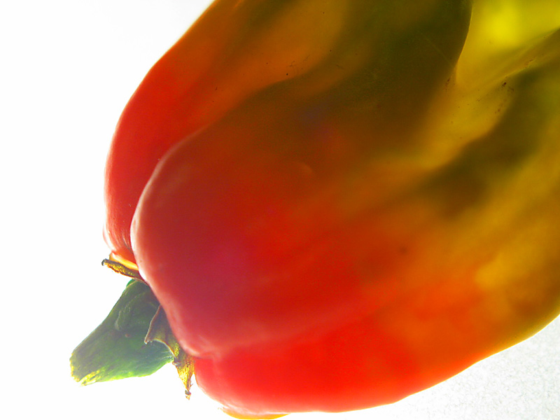scotch bonnet3