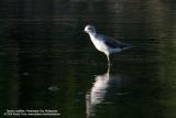 IMG_2763.JPG