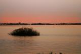 Lake-Jackson-Sunset2.jpg