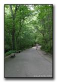 03-Trail-to-Cave2.jpg