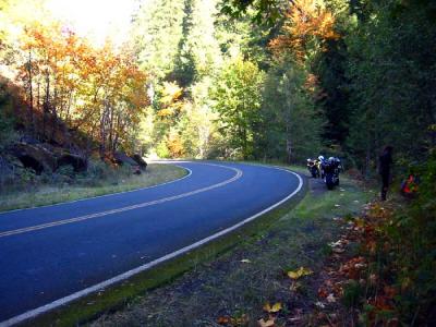 u36/liv2day/medium/34564299.goldwingcorner.jpg