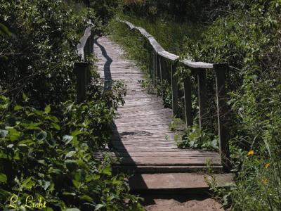 The Way Home  219.jpg