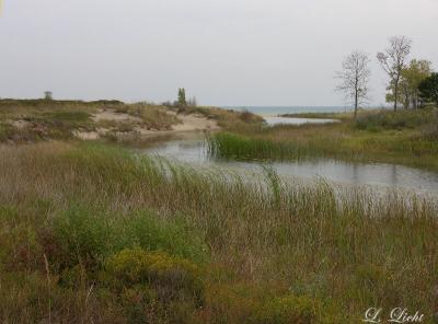 Mouth of the Dead River 2458.jpg