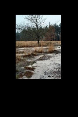 u36/lookheretitia/medium/38679282.0drenthe009.jpg