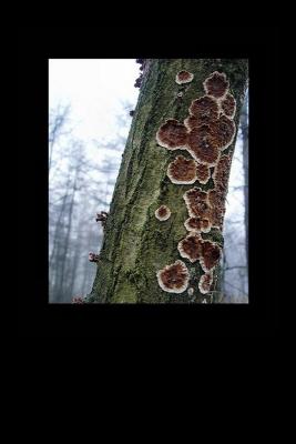 u36/lookheretitia/medium/38679353.0drenthe019.jpg