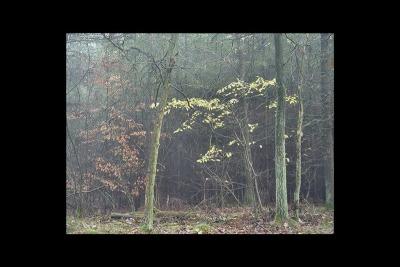 u36/lookheretitia/medium/38679386.0drenthe020.jpg