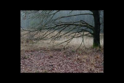 u36/lookheretitia/medium/38679561.0drenthe021.jpg