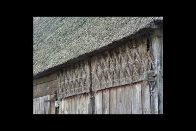u36/lookheretitia/medium/38679877.0drenthe026.jpg
