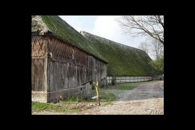 u36/lookheretitia/medium/38680061.0drenthe030.jpg