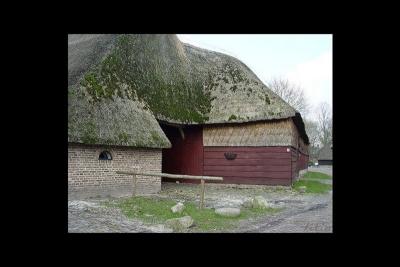 u36/lookheretitia/medium/38680109.0drenthe033.jpg