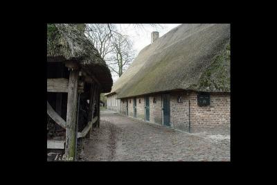 u36/lookheretitia/medium/38680113.0drenthe034.jpg