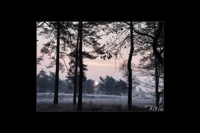u36/lookheretitia/medium/38680132.0drenthe040.jpg