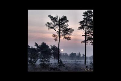 u36/lookheretitia/medium/38680144.0drenthe043.jpg