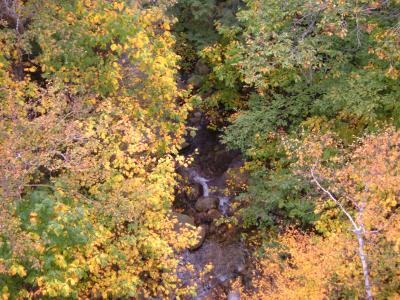 2004_0930Image0014.JPG