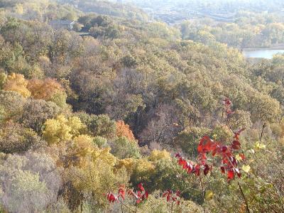 Autumn at Lewis & Clark park